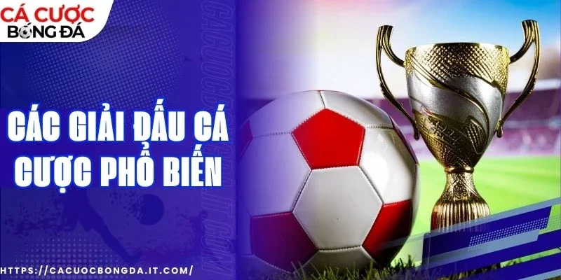 các giải đấu phổ biến