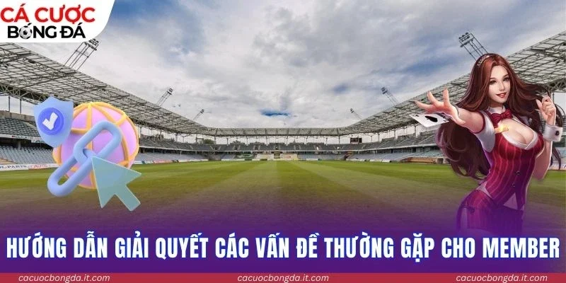 Hướng dẫn cách soi chuẩn bách khoa cho mọi member