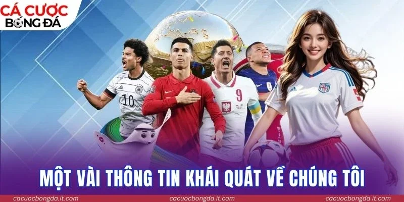 Một vài thông tin khái quát về chúng tôi