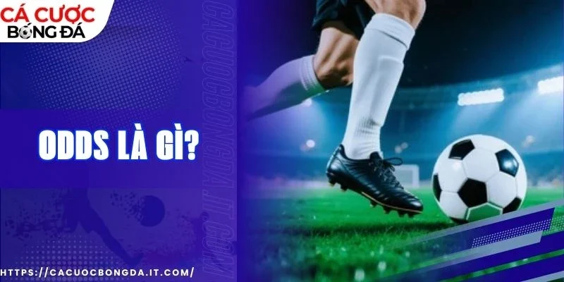 odds là gì