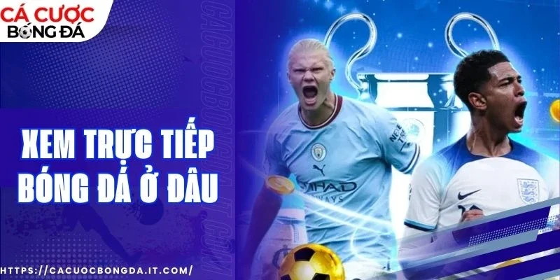 xem bóng đá trực tiếp ở đâu