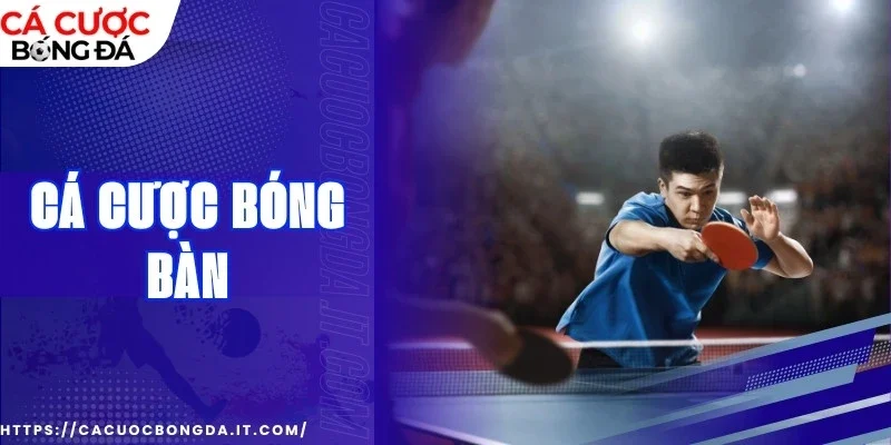 Những điểm quan trọng bạn nên biết trước khi dự đoán