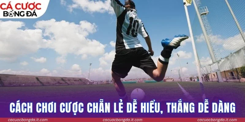 Cách chơi cược chẵn lẻ dễ hiểu, thắng dễ dàng