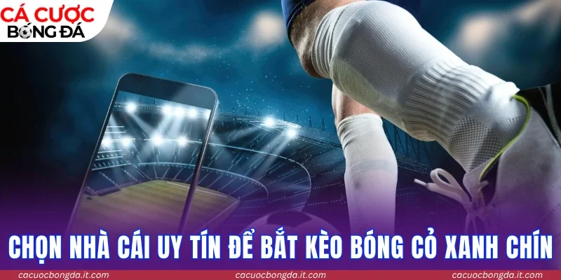 Chọn nhà cái uy tín tránh rủi ro dàn xếp kết quả