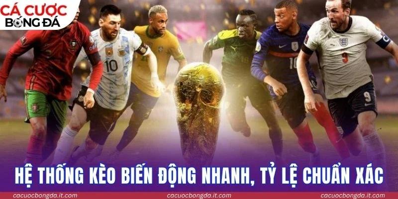 Hệ thống kèo biến động nhanh, tỷ lệ chuẩn xác