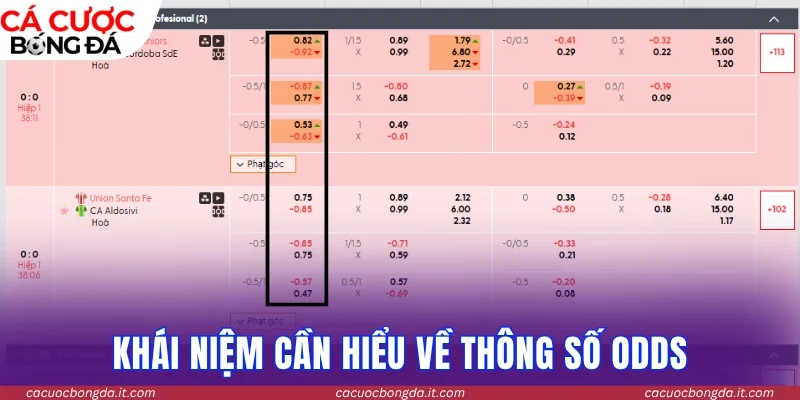 Khái niệm dễ hiểu về thông số odds