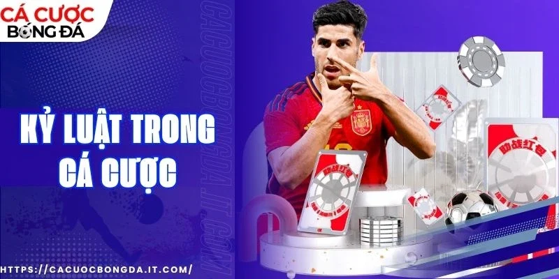 Thiếu kỷ luật khiến bạn dễ mắc sai lầm nghiêm trọng