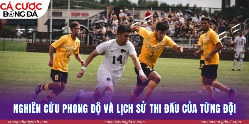 Nghiên cứu phong độ và lịch sử thi đấu của từng đội