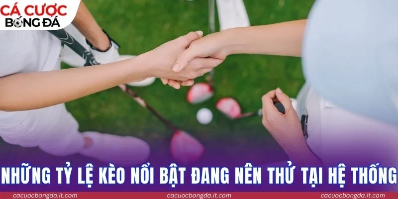 Những tỷ lệ kèo nổi bật đang nên thử tại hệ thống