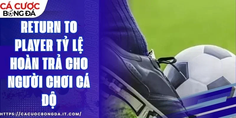 Tips hay nhằm vận dụng RTP thêm phần hữu dụng