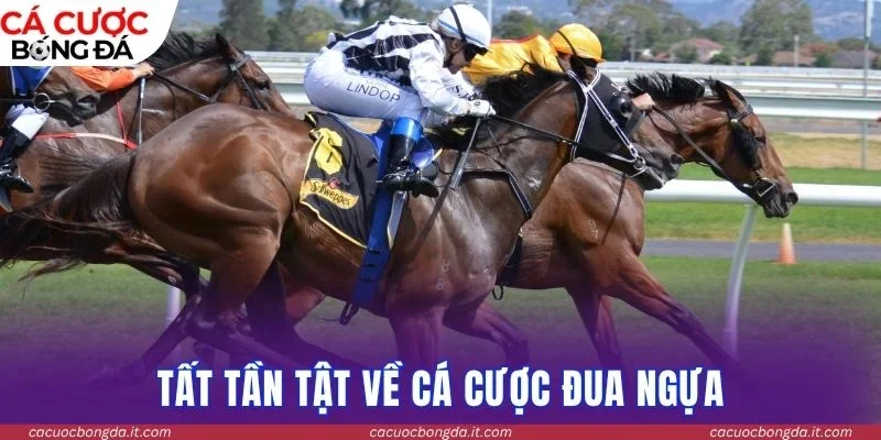 Tất tần tật về cá cược đua ngựa
