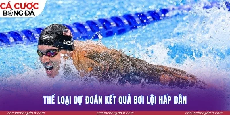 Thể loại dự đoán kết quả bơi lội hấp dẫn