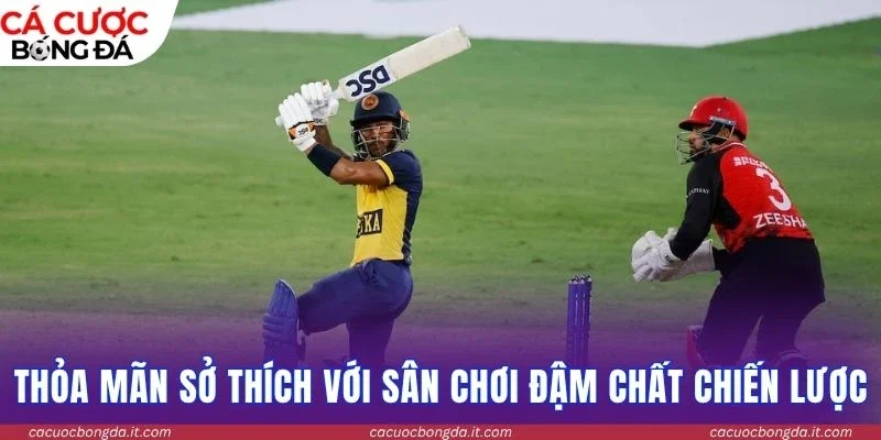 Thỏa mãn sở thích với sân chơi đậm chất chiến lược