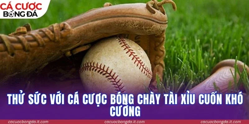 Thử sức với cá cược bóng chày tài xỉu cuốn khó cưỡng