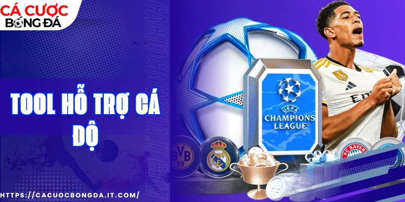 Dự đoán kèo chuẩn xác nhờ công cụ Iwin bào cỏ