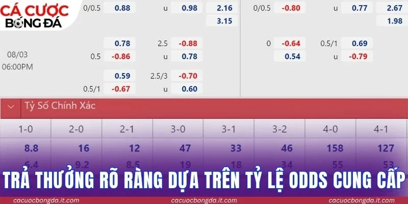 Trả thưởng rõ ràng dựa trên tỷ lệ odds cung cấp