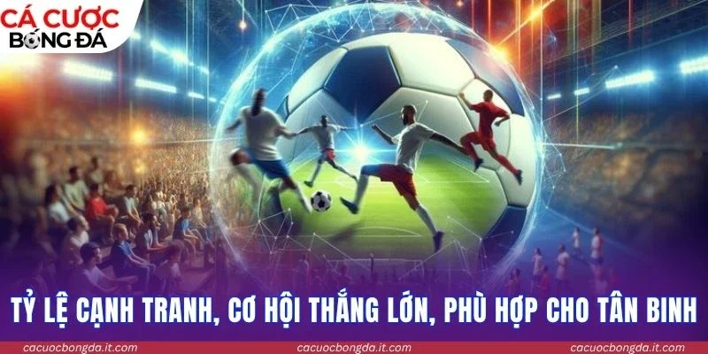Tỷ lệ cạnh tranh, cơ hội thắng lớn, phù hợp cho tân binh