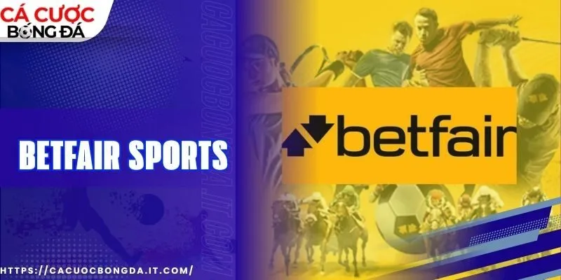 Bí quyết chọn kèo hiệu quả trong Betfair Sports