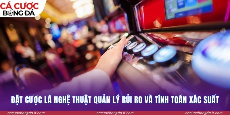 Đặt cược là nghệ thuật quản lý rủi ro và tính toán xác suất