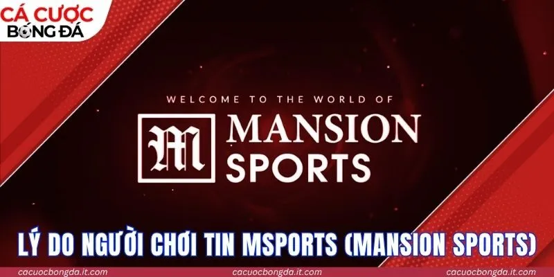 Lý do người chơi tin chọn MSports (MANSION Sports)