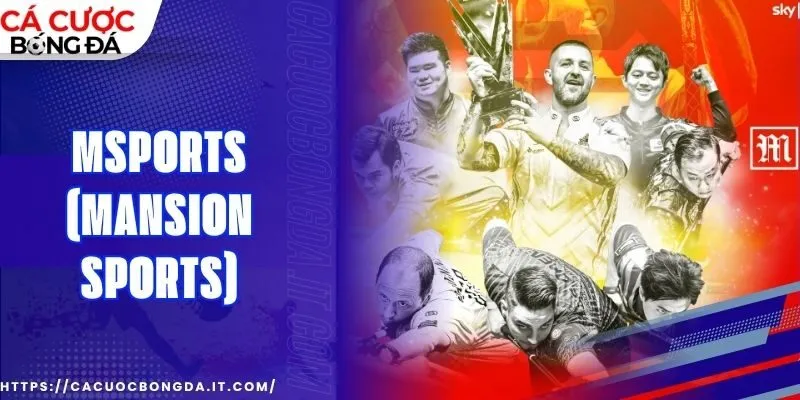 Bí quyết chọn kèo chuẩn xác tại MSports (MANSION Sports)